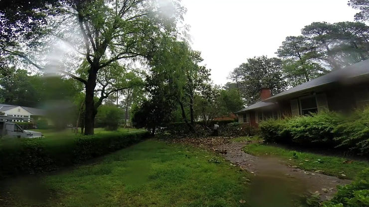 Magnolia Removal Part 1